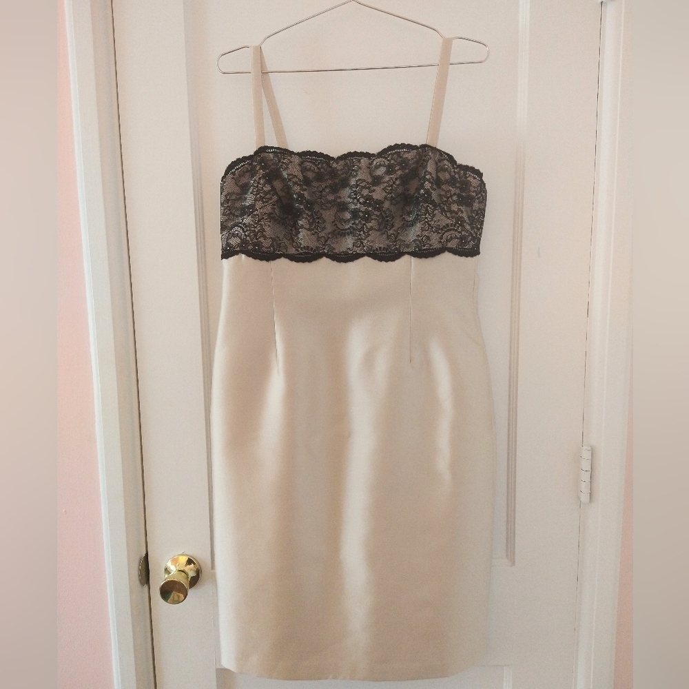 Renee DuMarr Formal Champagne Colored Silk/Wool Cocktail Dress with Lace Size 12